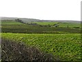 Legamaghery Townland