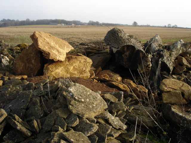 Cotswold stone cleared from a field