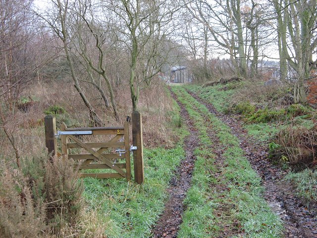 Edington Hill Lane