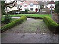 Mossy Bridge