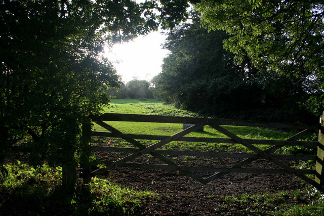 Small Field near Heydon