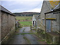 Carterside Farm, looking towards Rothbury Golf Course