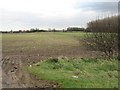 Farmland Near Laceby