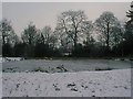 Tupton Angling Club Pond (Frozen)