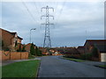 Pylons over  the estate.