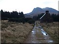 Old Street, Scoraig