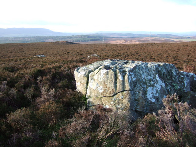 Sandstone boulders on Rothbury Forest