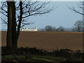 Winter Farmland