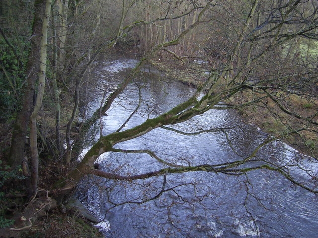 River  Wansbeck
