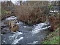 Confluence of  two rivers.