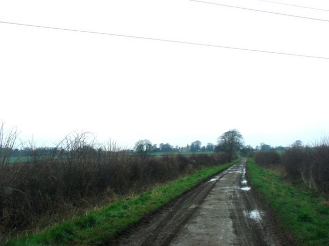 Headley Lane, Bramham Moor