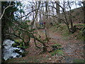 Negotiating a slippery stile.