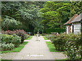 The Rose Garden, Town Gardens, Swindon