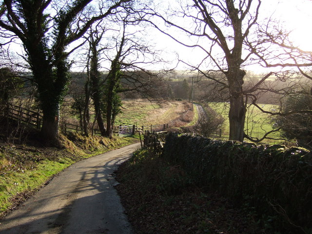 The lane from Healey