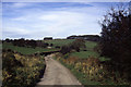 Track above Belper Lane End