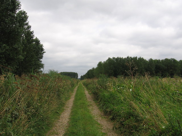 Hereward Way at Wiltonhill Wood