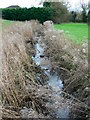 Snodshill Brook, Dorcan Way, Swindon