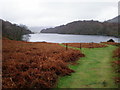 Llyn Cynwch from the South.