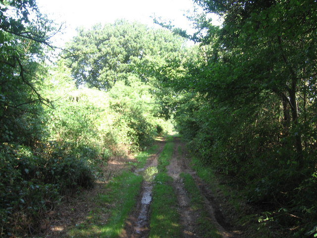 Peddars Way near Great Bircham