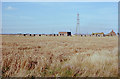 Chain Home radar station, Rye