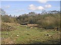 Danesmoor - River Rother Passes Under Railway