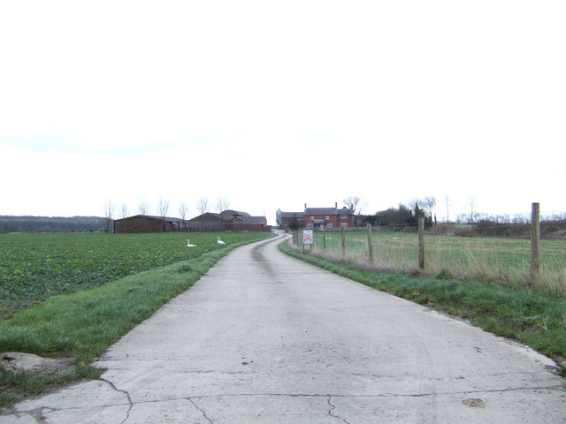 Road to Pennyswick Farm