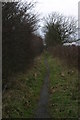 Track to the site of the Brenkley Drift Mine