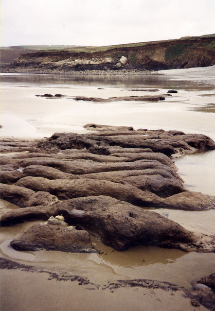 Drowned forest at Abermawr