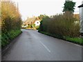 Thatched cottage on Marshborough road.