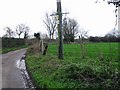 Lane just past the butchers shop, Lower Goldstone.