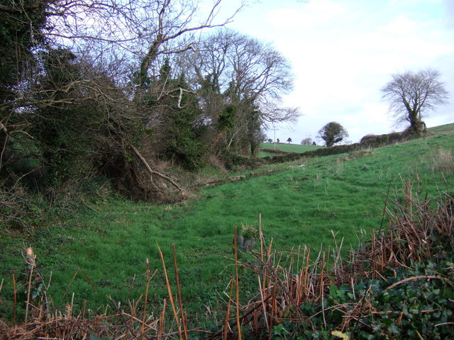 Field beside green lane near Duncombe