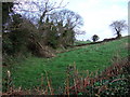 Field beside green lane near Duncombe