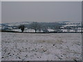 View across field to Ashover Road (Britton Wood in Background)