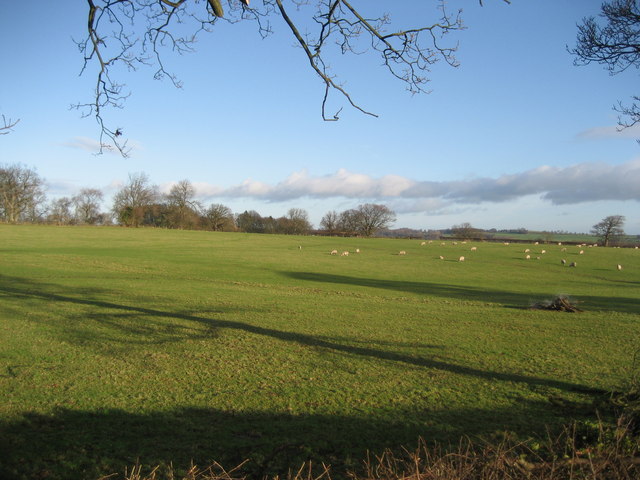 Fields east of Fearby