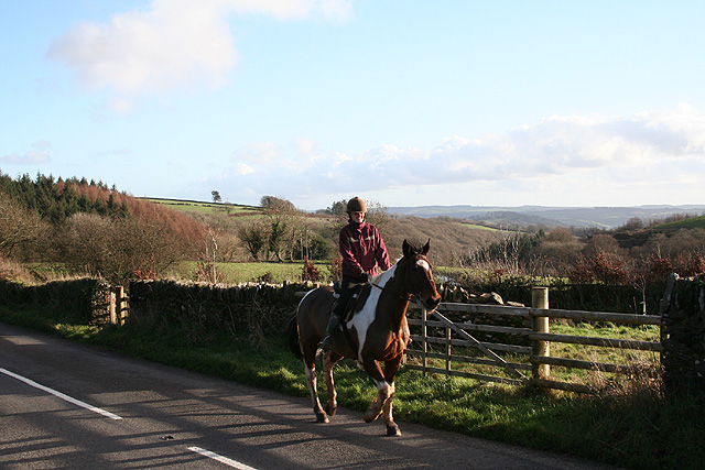 Dulverton: horse and rider at Highercombe