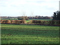 Towards Hodsock Park