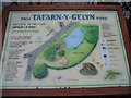 SJ1861 : Pwll Tafarn-y-Gelyn Pond Information Board by John S Turner