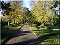 Autumn in Appley Park Ryde.