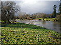 SO0391 : Swollen River Severn at Caersws. by Hefin Richards