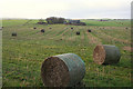 Straw rolls with Denhill Farm in the distance.