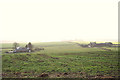 The Bogside Farm and Croft to the south.