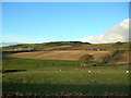 Farmland View