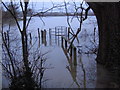 Botley across flooded field