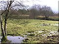 Gray Hill Townland