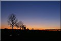 TL2576 : Trees near Kings Ripton at dusk by Simon Barnes