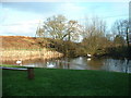 Duckpond at Newnes