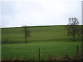 Downland opposite Prescombe House