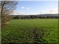 Blue Sky and Green Field