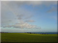 Looking up the Forth towards Bass Rock