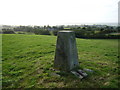 Pen Moel Dihewid trig